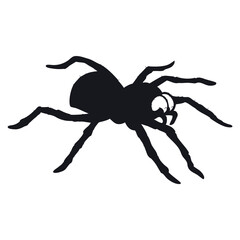 Spider icon silhouettes vector illustration
