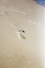 Footprints on the sand beach