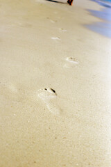 Footprints on the sand beach