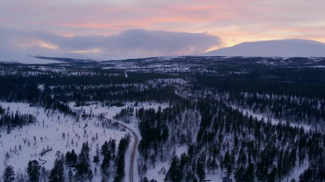 Winter Spruce and Pine Forest - Snowy Mountain Vista Aerial