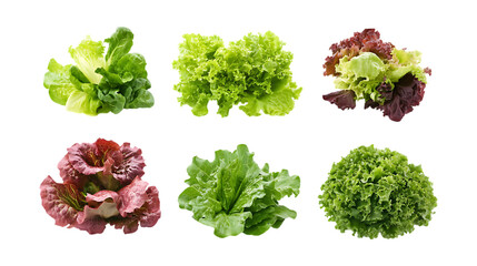 Pack Fresh Salads Set in Different Poses Against Transparent Background for Healthy Eating, Nutrition, or Food Branding