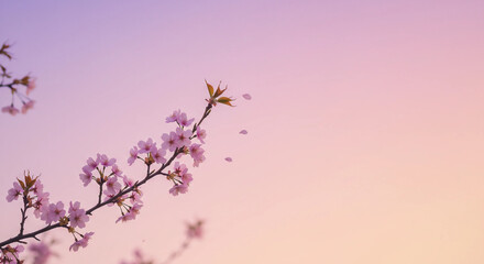 A minimalist cherry blossom branch against a soft pastel sky, with a few petals drifting in the wind