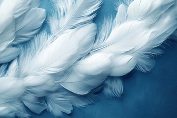 Fototapeta premium Soft white feathers elegantly scattered over a textured blue background creating a serene and calming aesthetic