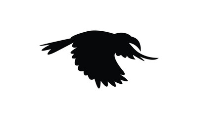 Flying African grey hornbill bird Silhouette Design  And Vector Illustration. 