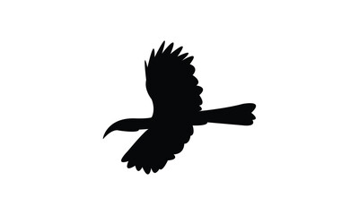 Flying African grey hornbill bird Silhouette Design  And Vector Illustration. 