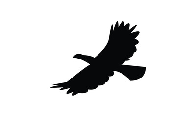 Flying African grey hornbill bird Silhouette Design  And Vector Illustration. 