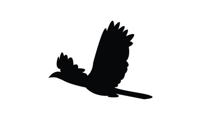Flying African grey hornbill bird Silhouette Design  And Vector Illustration.  © Syed Zakir Hossen