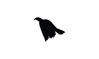 Flying African grey hornbill bird Silhouette Design  And Vector Illustration. 
