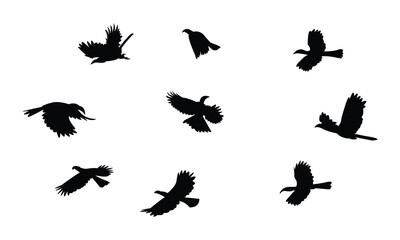 Flying African grey hornbill bird Silhouette Design  And Vector Illustration. 
