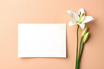 Lily and Blank Card: A pristine white lily with delicate petals and a vibrant green stem, alongside a blank card offering space for personal messages, set against a soft, inviting backdrop.