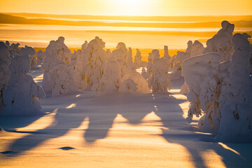 Ice sculptures at dawn, Lapland, Finland