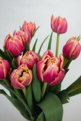 Bouquet pink and yellow peony double tulips bloom, soft background.
