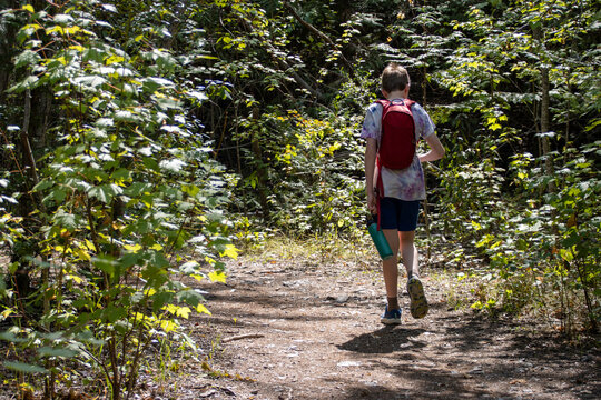 Youthful boy walks downpath in a lush forest in dappled shade..