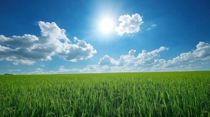 Obraz premium Lush green field under a vibrant blue sky filled with fluffy white clouds and a bright sun.