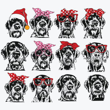German Wirehaired Pointer SVG file for Cricut, GWP dog clipart, Cut file, vector art portrait