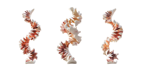 Pack DNA Helix Set Against Transparent Background for Science Branding, Genetic Research Promotion, or Medical Illustration
