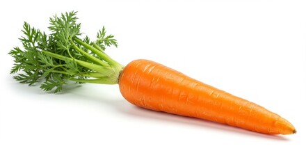 carrot on a white background