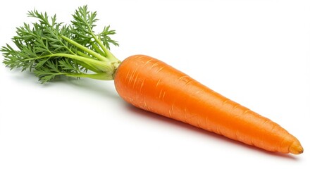 carrot on a white background