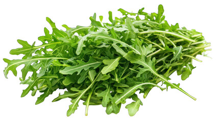 Obraz premium Fresh arugula leaves on a white background (1)