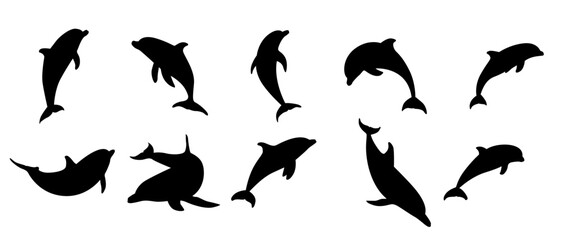 dolphins silhouette vector illustration collection. black silhouette on a white background showing various dolphins poses. ideal for sea fish themed designs