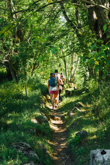 Groupe de personnes randonnant dans une for&ecirc;t en &eacute;t&eacute;. Balade de gens dans les bois au printemps. Promenade en famille ou amis dans la campagne. S'oxyg&eacute;ner dans les arbres. Club de marche en for&ecirc;t. 