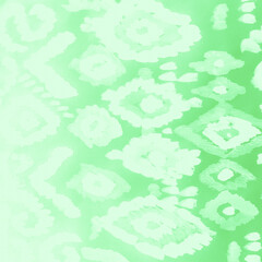 White Ikat Stripes Patterns. Vintage Paisley