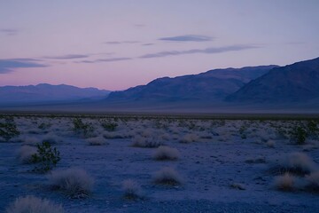 Obraz premium Desert shrubs with mountain backdrop at sunset, for western themed travel website