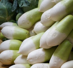 쌓여있는 큰 무 