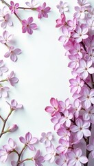 Fototapeta premium Elegant white lilac floral motif design for wallpaper or fabric, botanical, beauty