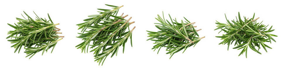 Obraz premium Loose Rosemary Sprigs, Cut Out Set