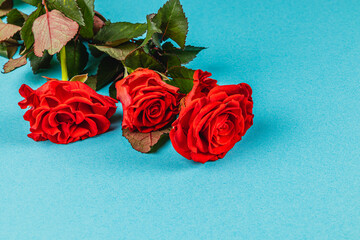 Vibrant red roses arranged elegantly on a bright blue background