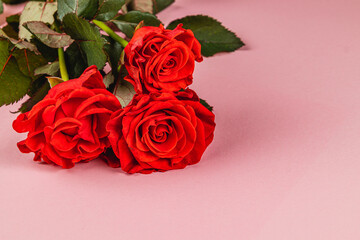 Beautiful red roses arranged artfully on a pink background