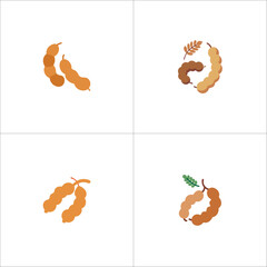 Tamarind icon set with high-quality vector illustrations perfect for UI UX and digital graphic design projects
