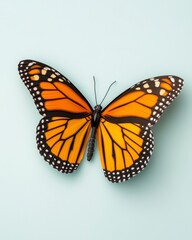 Obraz premium Vibrant Monarch Butterfly Close Up on Pale Blue Background, Detailed Wing Pattern, Nature Photography