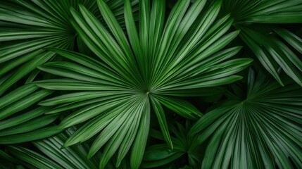 Lush green palm leaves create a vibrant, textured background.