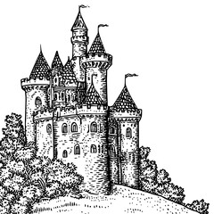 Obraz premium Explore the enchanting castle surrounded by lush trees, showcasing intricate engraving in a vintage tattoo style