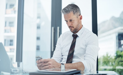 Fototapeta premium Office, lawyer and businessman with mobile for chat, legal aid and networking with client. Career, mature person and attorney with phone for reading email, case notification and research for justice