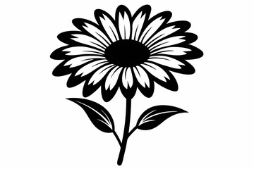 daisy flower line art silhouette vector illustration