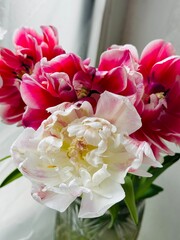 bouquet of peony tulips