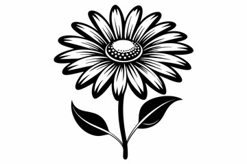 daisy flower line art silhouette vector illustration