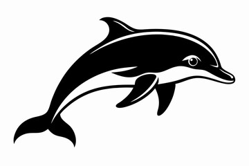 dolphin line art silhouette vector illustration