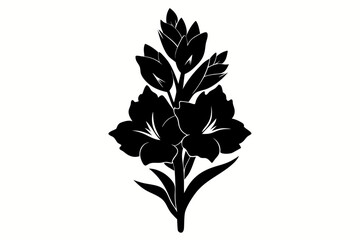 gladiolus flower line art silhouette vector illustration