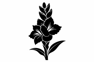 gladiolus flower line art silhouette vector illustration