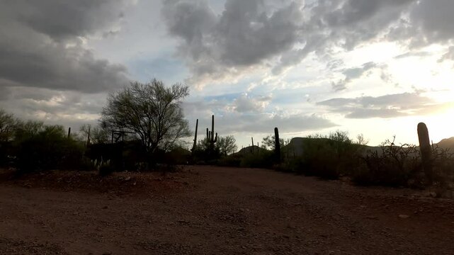 Arizona Driving 1925 Saguaro National Park Tucson