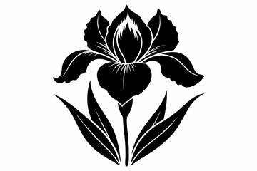 iris flower line art silhouette vector illustration
