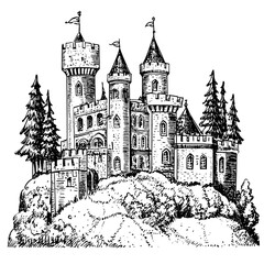 Obraz premium Delicate engraving of a mystical castle surrounded by lush trees, ideal for tattoo art and packaging design