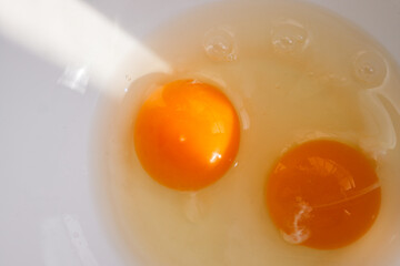 Close-up of raw egg yolks in a white bowl, illuminated by natural light. The golden, glossy texture...