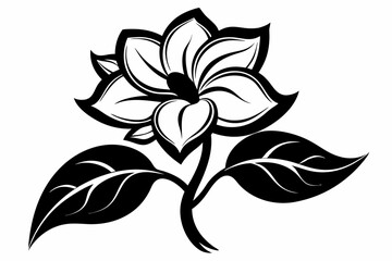 jasmine flower line art silhouette vector illustration