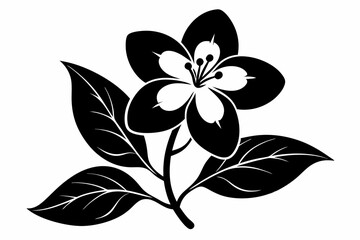 jasmine flower line art silhouette vector illustration