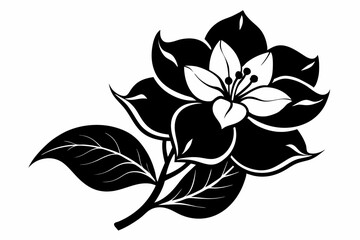 jasmine flower line art silhouette vector illustration